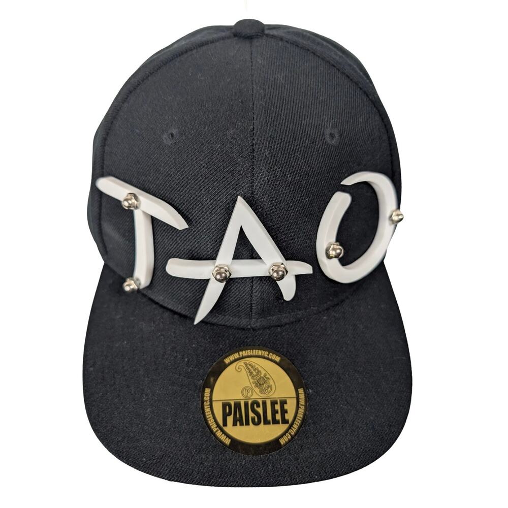 RARE Paislee TAO Snapback Hat 3D Bold Embellished Design Gold Paisley Accents